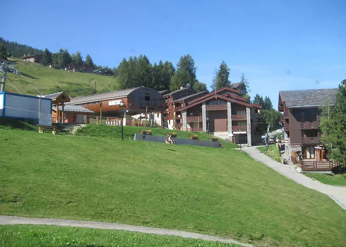 4 Pers, Animaux Admis, Terrasse - Fr-1-353-11 Lägenhet La Plagne