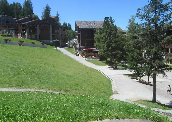 4 Pers, Animaux Admis, Terrasse - Fr-1-353-11 * La Plagne