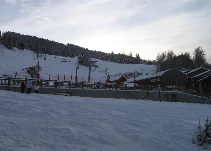 4 Pers, Animaux Admis, Terrasse - Fr-1-353-11 La Plagne